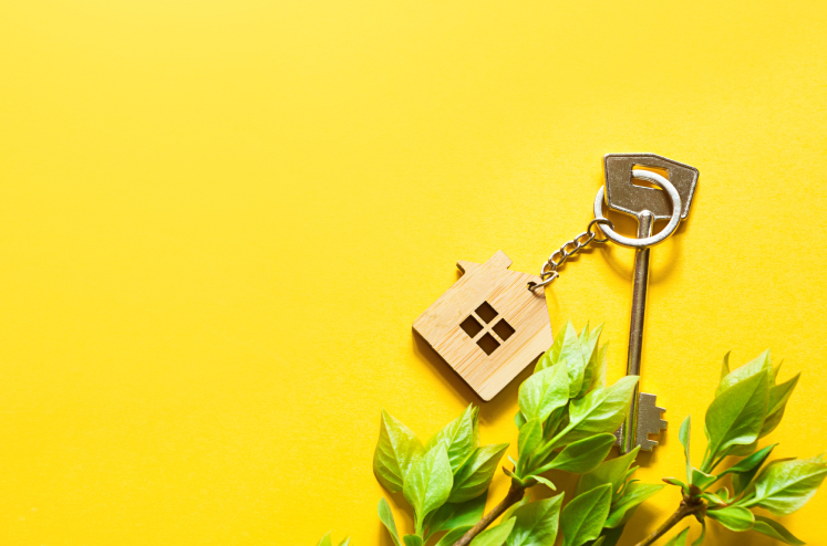 Bright yellow backdrop with fake brush overtop with a silver key that has a wooden home keychain attached to it