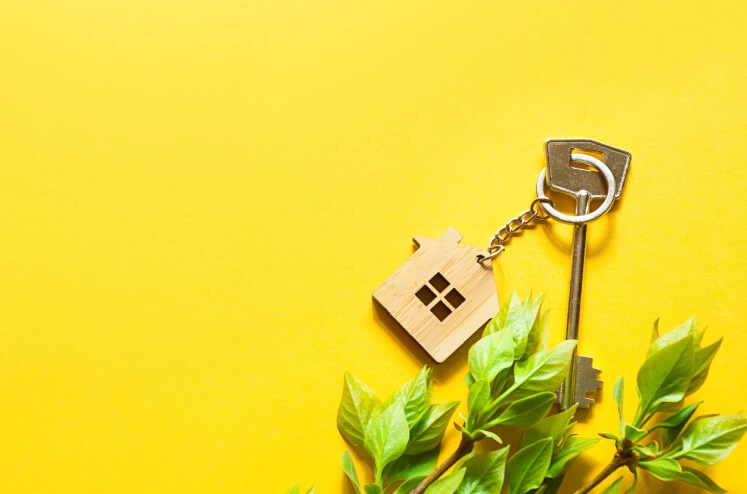 Bright yellow backdrop with fake brush overtop with a silver key that has a wooden home keychain attached to it